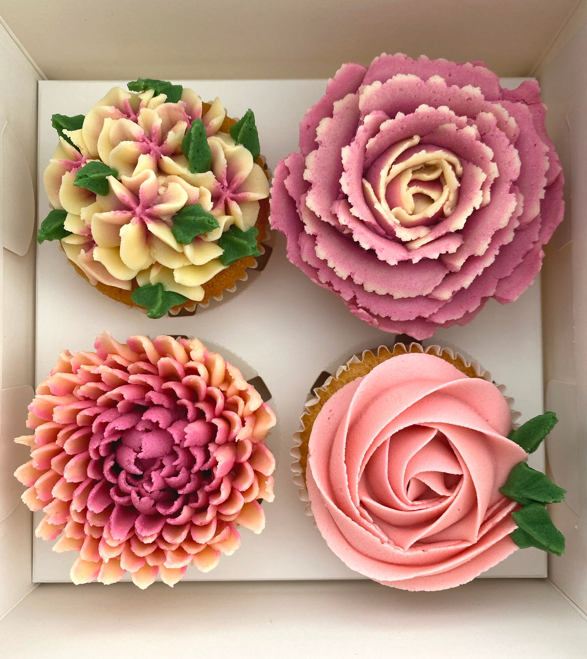 Boxed Cupcakes - 4