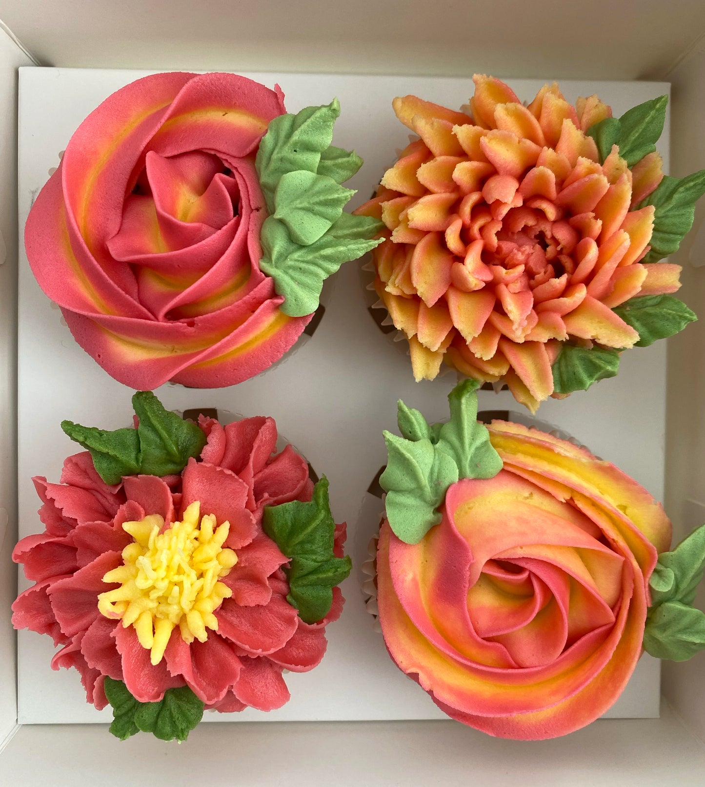 Boxed Cupcakes - 4