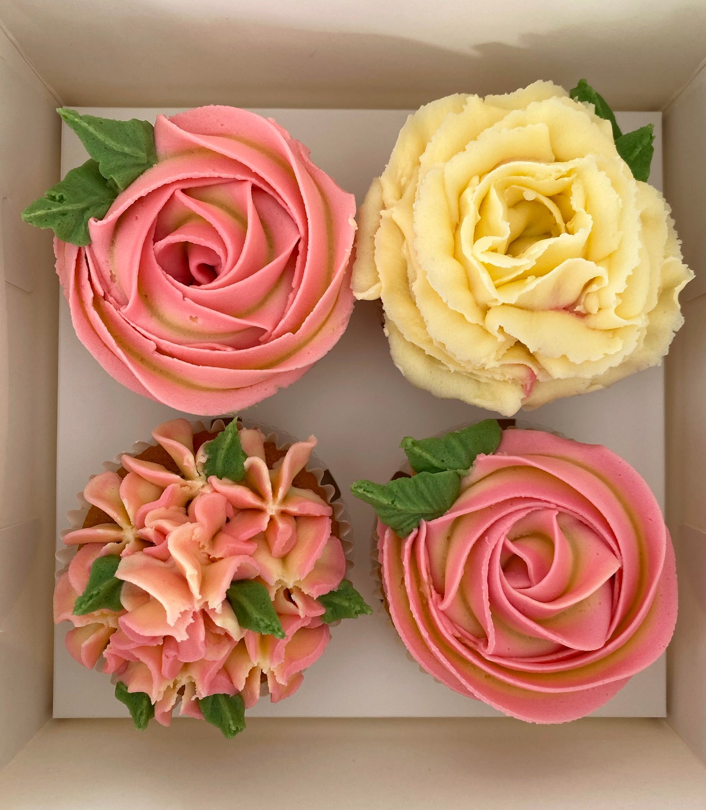 Boxed Cupcakes - 4