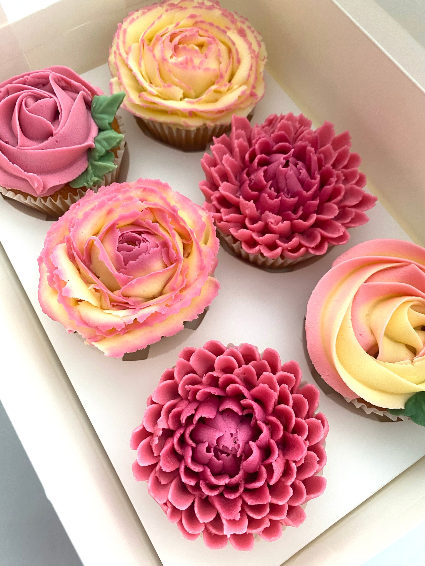 Boxed Cupcakes - 6