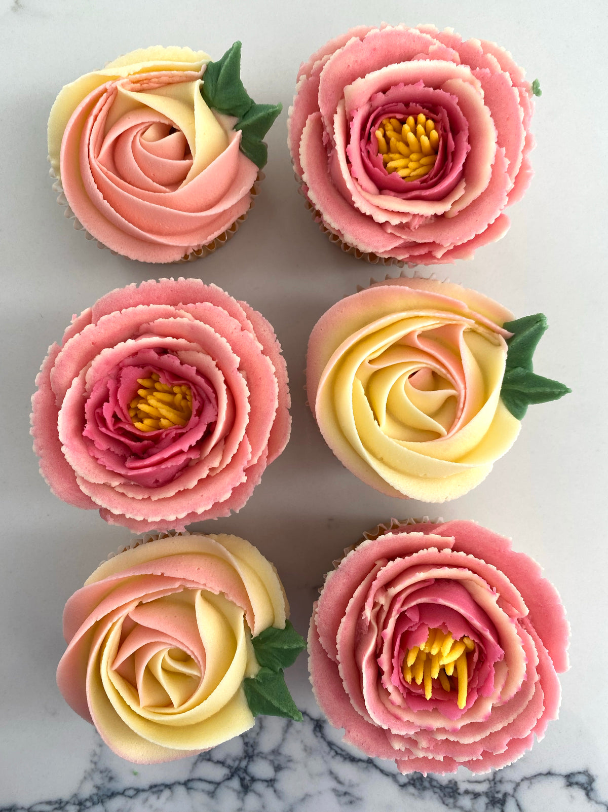 Boxed Cupcakes - 6