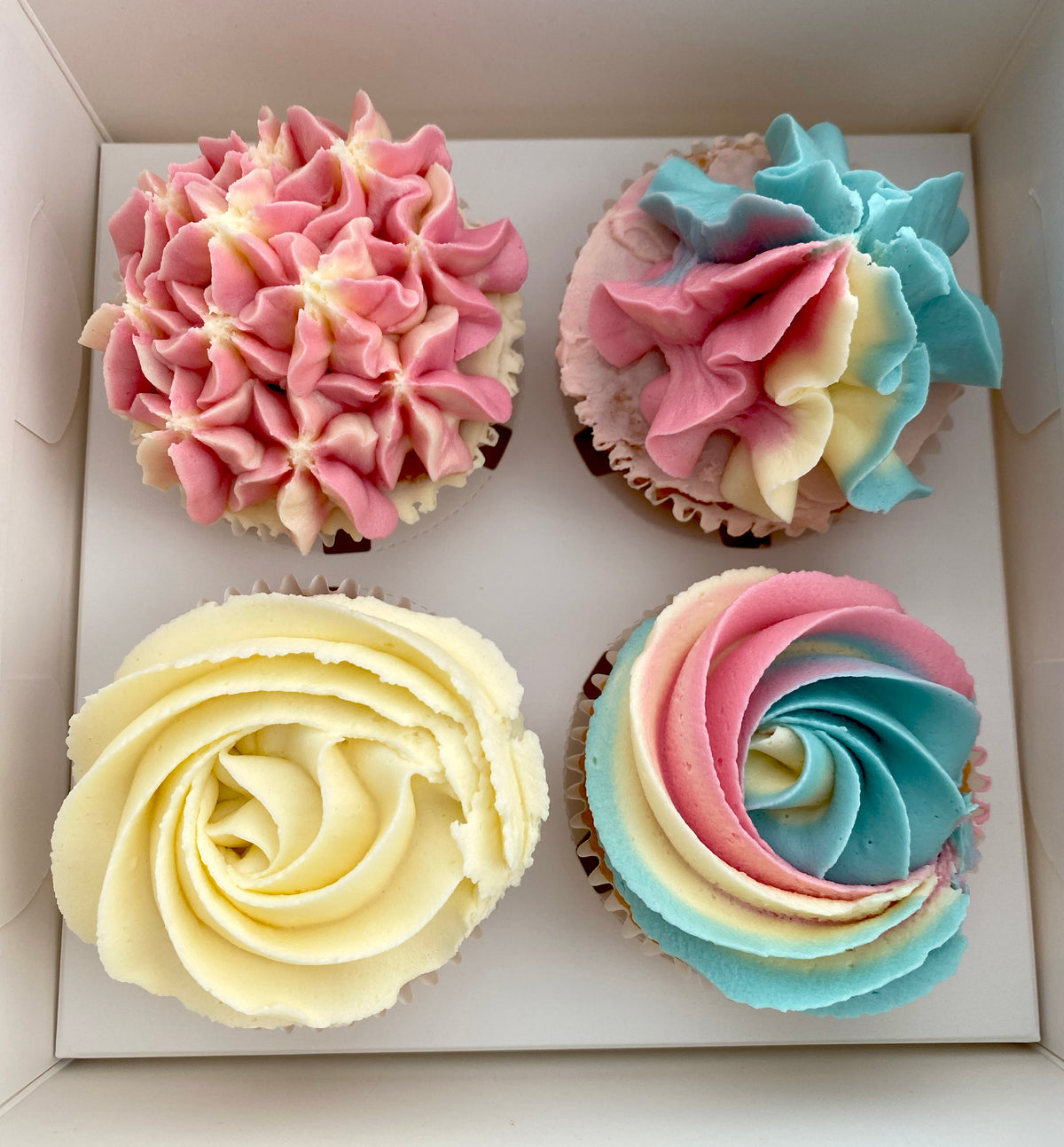 Boxed Cupcakes - 4